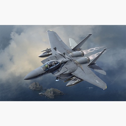 12362 1/48 대한민국 공군 F-15K 신념불사조 (ADEX Ver.) (8809845381488)